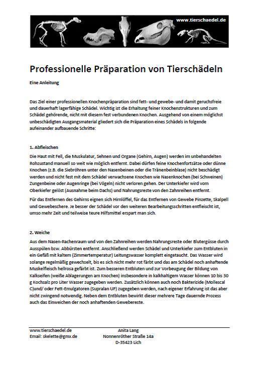 Kostenloses PDF "Professionelle Präparation von Tierschädeln"